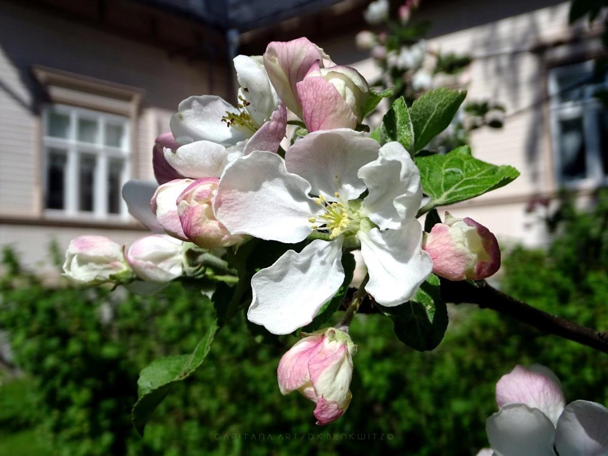 B&B Savikon Kartano Kitee Esterno foto